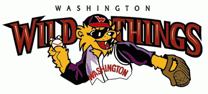 Washington Wild Things 2002-Pres Wordmark Logo iron on heat transfer
